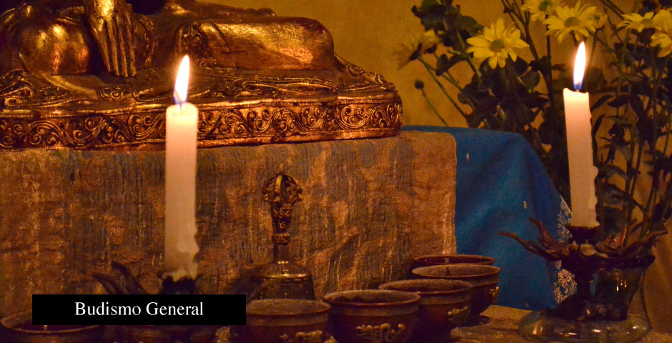 Budismo General